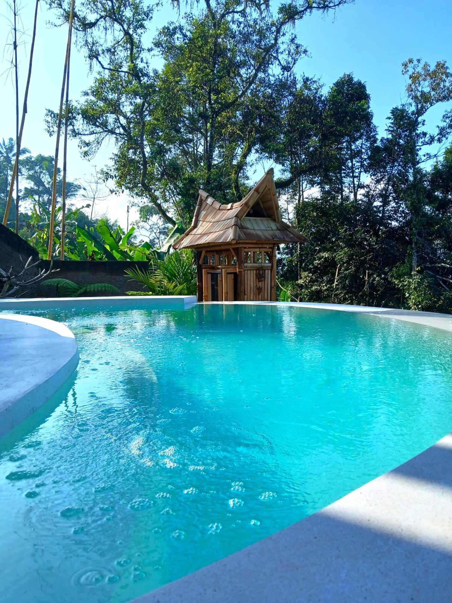 Villa Danaswari Bali Bamboo House Selat Esterno foto