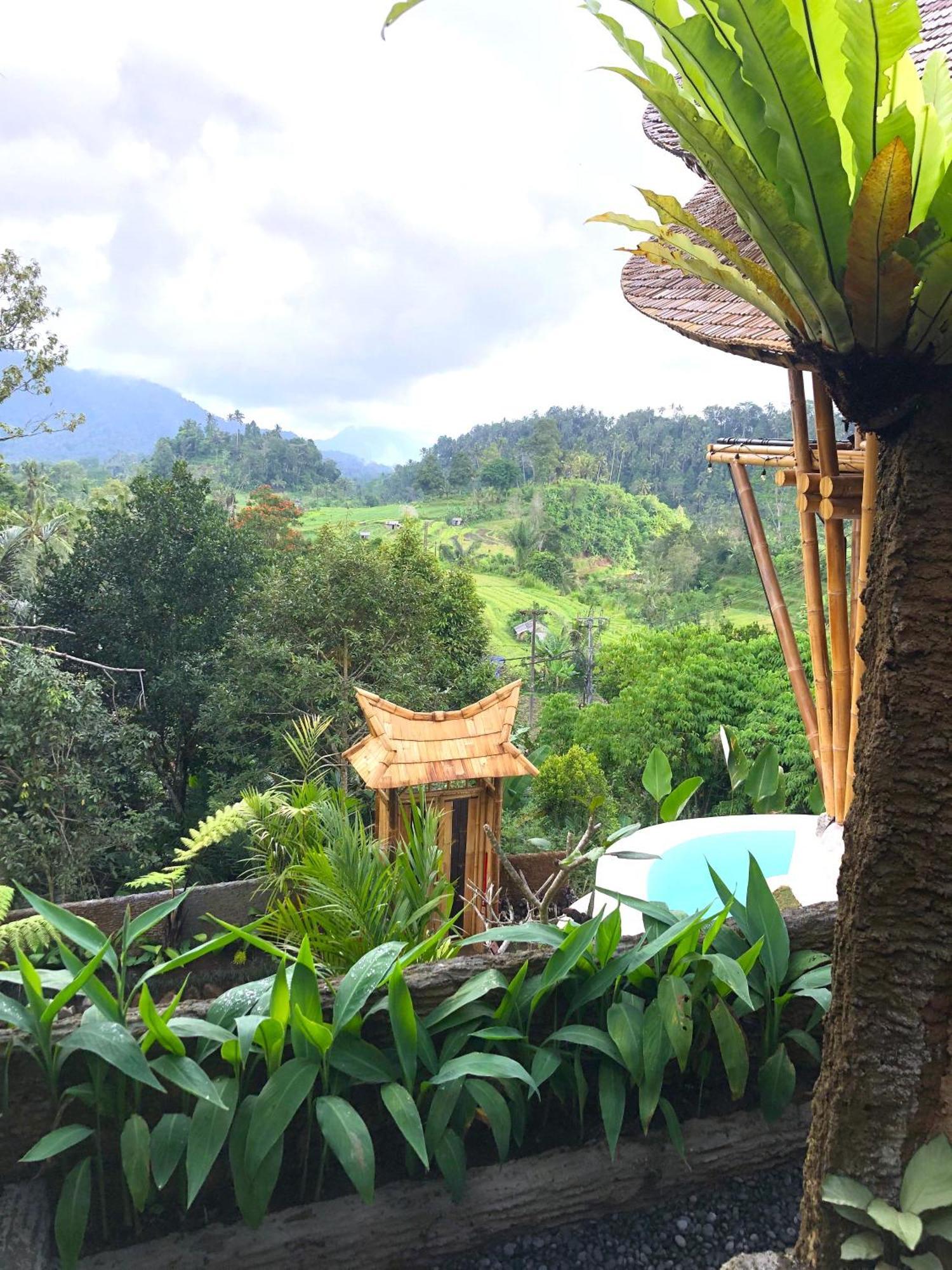 Villa Danaswari Bali Bamboo House Selat Esterno foto