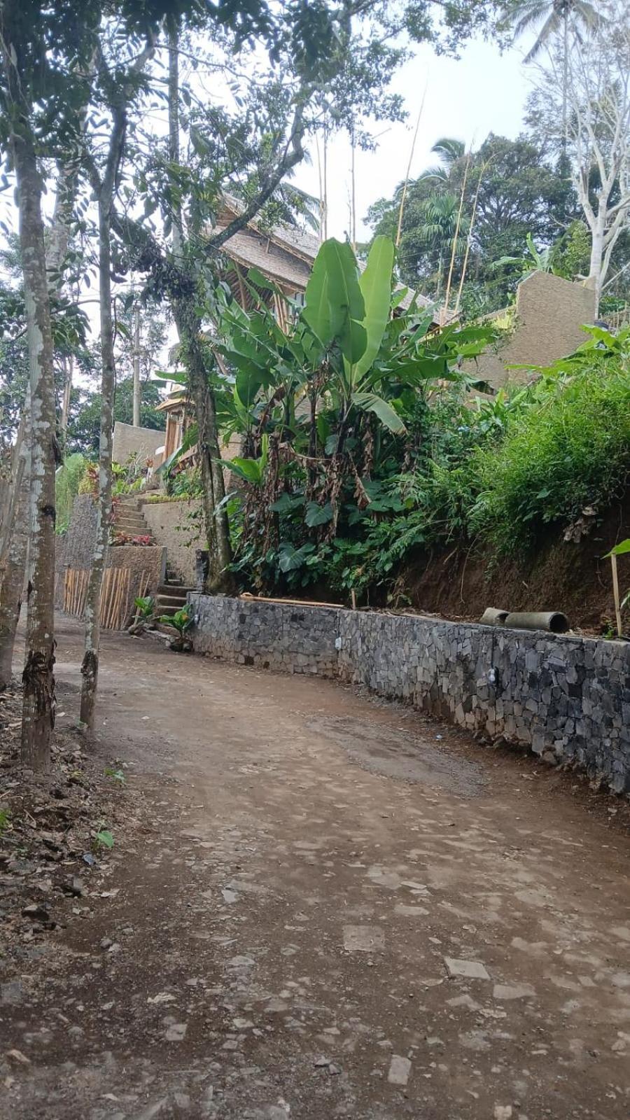 Villa Danaswari Bali Bamboo House Selat Esterno foto